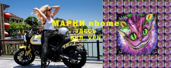 стаф Алексин